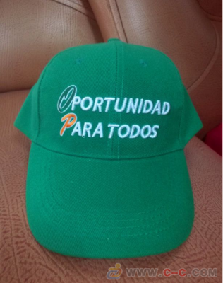 阳西制帽工厂 专业定制生产，打造多元帽业精品